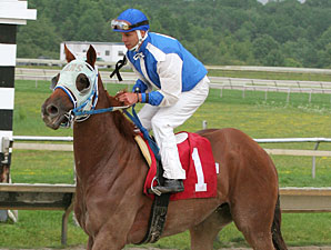 Traffic Light wins the 2012 Crowd Pleaser.