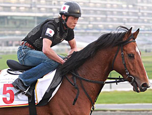 Transcend, Dubai 03/19/11
