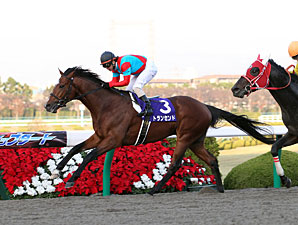 Transcend winning the 2010 Japan Cup Dirt.