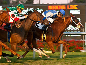 Travesura wins the 2012 Miesque. 