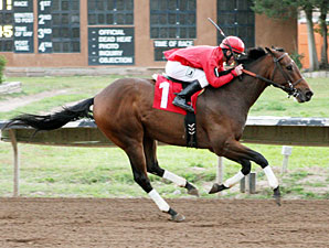 Treacherous wins the New Mexico State Fair Handicap.