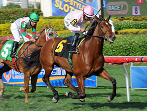 Treasury Devil Allowance Win - March 2, 2013