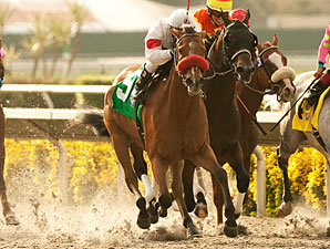 Tres Borrachos wins the 2011 San Diego.