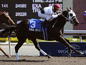 Tribal Belle wins the 2010 Hendrie Stakes.