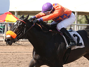 Tribal Gal wins the Joanne Dye Stakes.