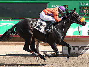 Tribal Gal wins the Joanne Dye Stakes.