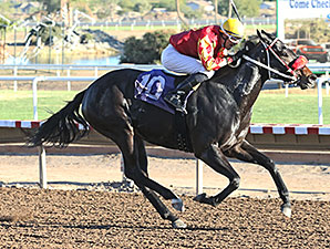 Tribal Gal wins the 2013 City of Phoenix Stakes.