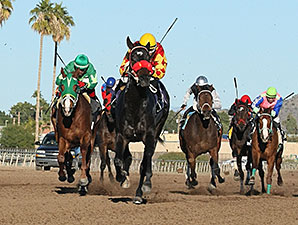 Tribal Gal wins the 2013 City of Phoenix Stakes.