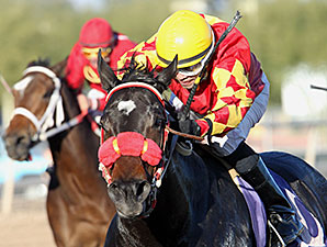 Tribal Gal wins the 2013 City of Phoenix Stakes.