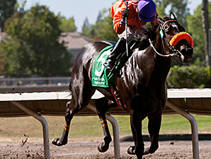 Tribal Gal wins the 2014 Oak Tree Distaff Stakes.