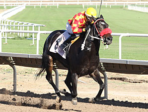 Tribal Gal wins the 2013 Princess of Pal Stakes.