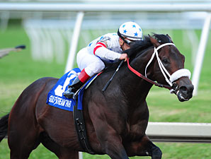 Trickmeister wins the 2011 Harlan's Holiday.