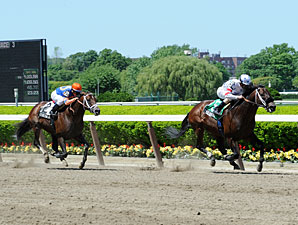 Trickmeister wins the 2012 Vanlandingham.
