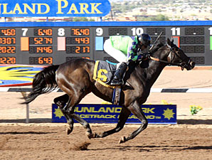 Tricky Causeway wins the 2012 Adios Amigos Claiming Handicap.