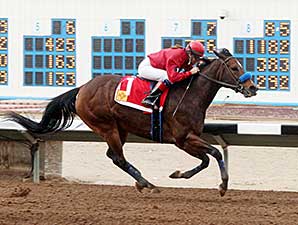 Tricky R. wins the 2014 Russell and Hellen Foutz Distaff Handicap.