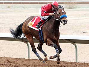 Tricky R. wins the 2014 Russell and Hellen Foutz Distaff Handicap.