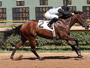 Tricky Suspect wins the 2011 Razorback Futurity.
