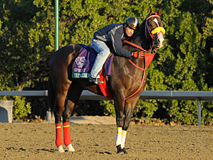 Trinniberg - Breeders' Cup 2012