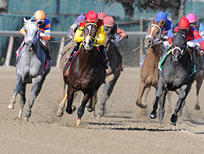 Trinniberg wins the 2012 Bay Shore.
