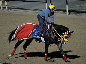 Trinniberg Churchill Downs, Oct 29, 2011.