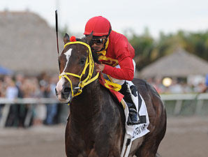 Trinniberg wins the 2012 Swale.