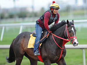 Trinniberg - Gulfstream Park January 23, 2013.