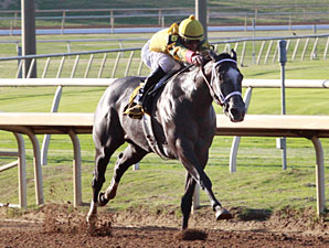 Triumph and Song wins the 2013 Premiere Stakes.