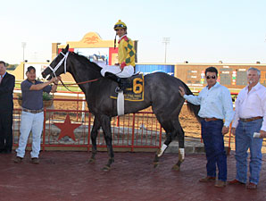 Triumph and Song wins the 2013 Premiere Stakes.