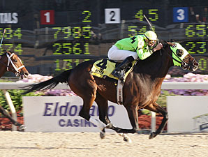 True Course wins the 2009 B-Connected.