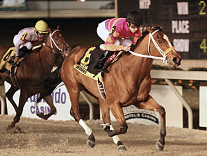 Truth and Justice wins the 2009 My Trusty Cat Stakes.