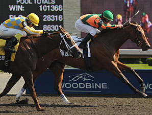 Tu Endie Wei wins the 2011 Ontario Debutante.