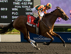 Tu Endie Wei wins the 2012 Seaway Stakes.