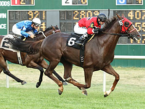 Tubby Time wins the Blairs Cove Stakes.