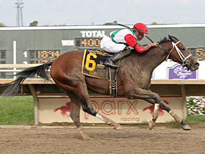 Tujoes wins the 2012 Roanoke Stakes.