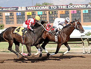 Tulsa Te wins the 2012 Harvest Stakes.