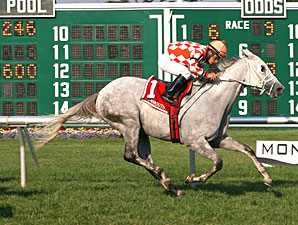 Tune Me In wins the 2012 Cliff Hanger Stakes.