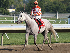 Tune Me In wins the 2012 Cliff Hanger Stakes.