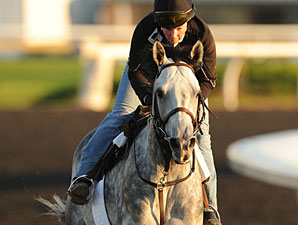 Turallure, Woodbine September 17, 2011.