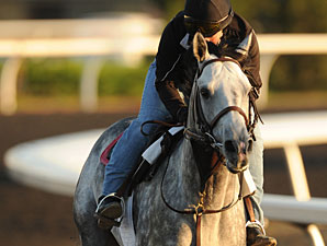 Turallure, Woodbine September 17, 2011.