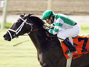 Turbo Compressor wins the 2012 Colonial Turf Cup.