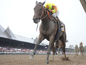 Turbulent Descent wins the 2011 Test.