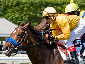 Tuscan Evening wins the 2010 Modesty.