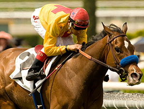 Tuscan Evening wins the 2010 Santa Barbara.
