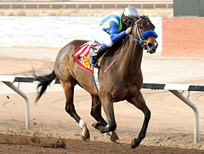 Twelve Twenty Two wins the 2012 El Diario Stakes.