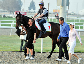 Twice Over at the 2010 Dubai World Cup.