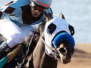 Twice The Appeal wins the 2011 Sunland Park Derby.