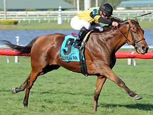 Twilight Eclipse wins the 2013 Pan American.