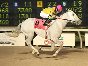 Twilight Ross wins the 2010 Premier Night Gentlemen Starter.