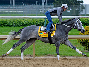 Twinspired jogging at Churchill Downs 5/4/2011.