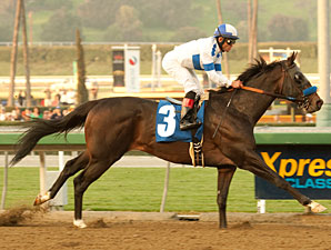 Twirling Candy wins the 2011 Strub.